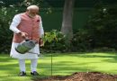 On World Environment Day, PM Modi Plants Sindoor Sapling at His Delhi Residence