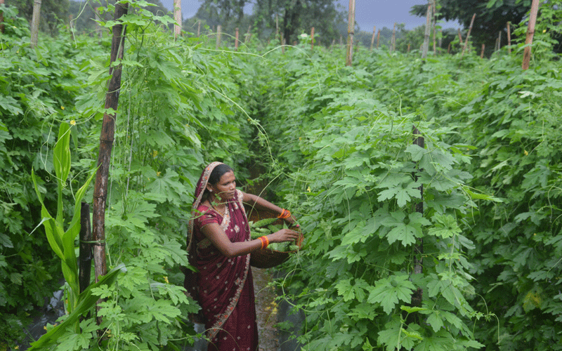 New Definition of Freedom: When Village Daughters and Women Farmers Give Wings to Their Dreams