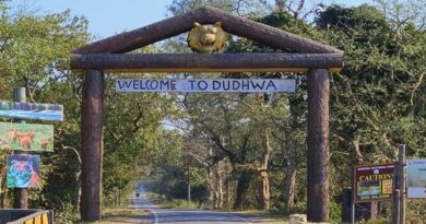 BVG India’s Eco-Resort Takes Shape in Dudhwa