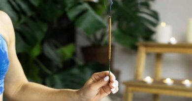 How To Choose The Right Kind of Mosquito Repellent Agarbatti