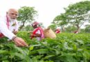 Memorable Experience for PM Modi in Dibrugarh: Plucks Tea Leaves with Women Workers, Takes Selfies