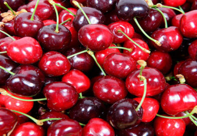 Adani Agri Fresh enters stone fruit segment, to begin cherry procurement in Himachal Pradesh