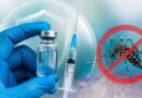 India Gets Its First Dengue Vaccine as DCGI Approves Takeda’s QDENGA