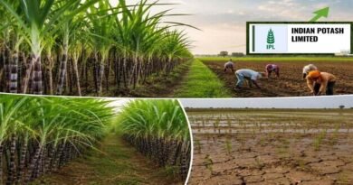 IPL Leads the Way in Water Conservation and Enhancing Farmers’ Income in Sugarcane Cultivation